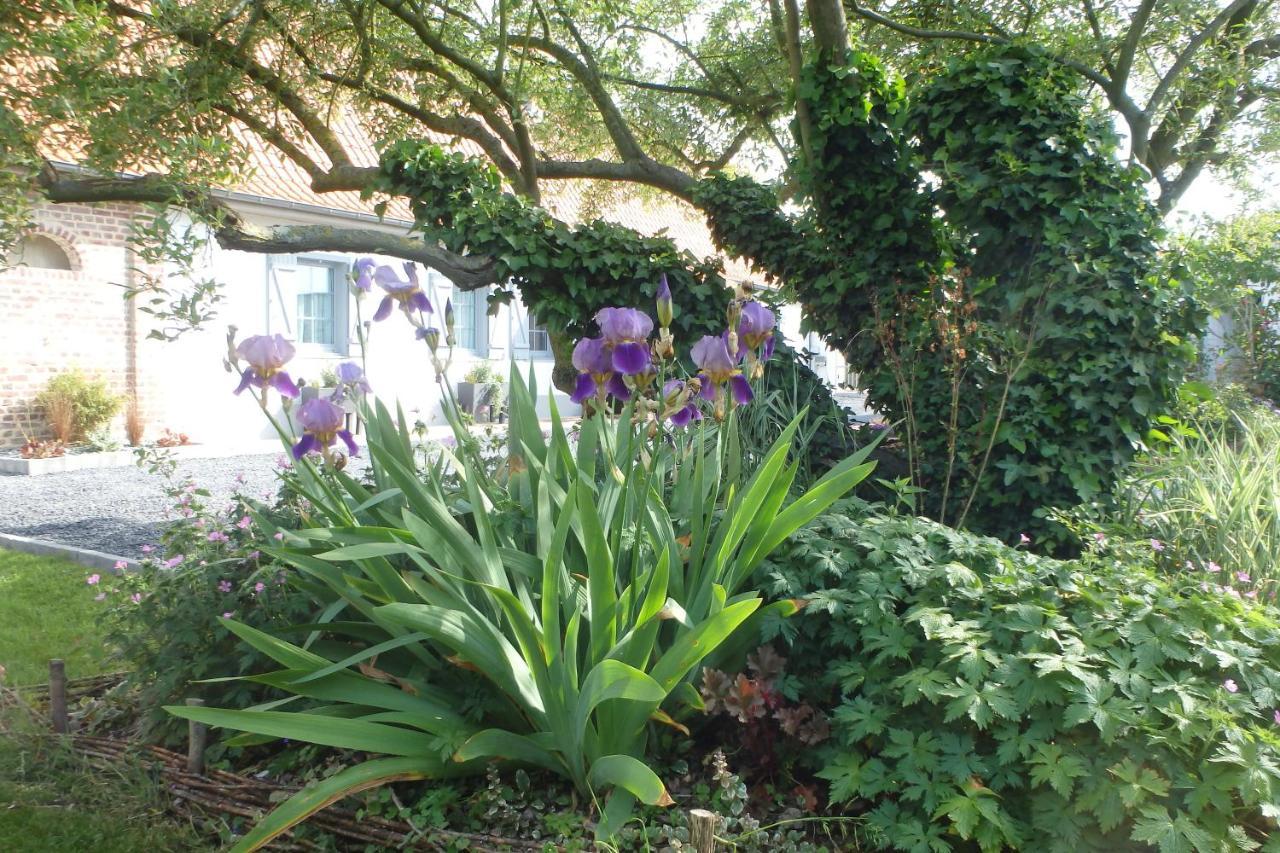Au Reve En Somme Bed & Breakfast Hautvillers-Ouville ภายนอก รูปภาพ